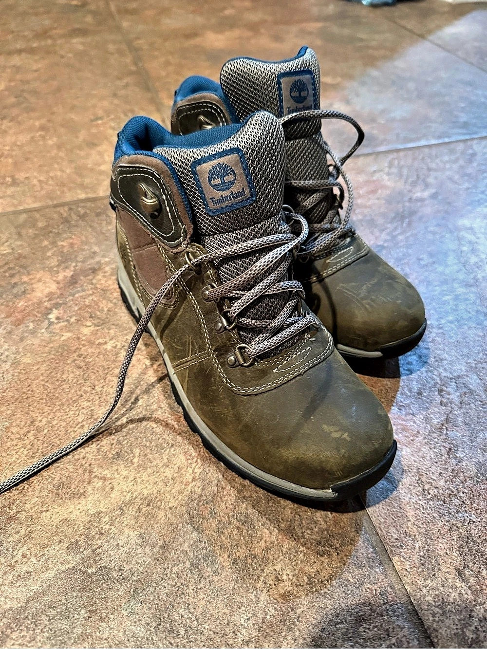 Timberland Women's Hiking Boots US 8.5 Gray-Green & Brown